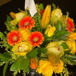 Meet your Posher, Heidi